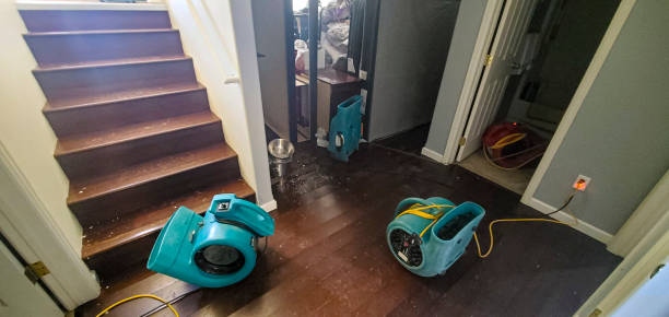 Best Flood restoration services  in Byron, GA