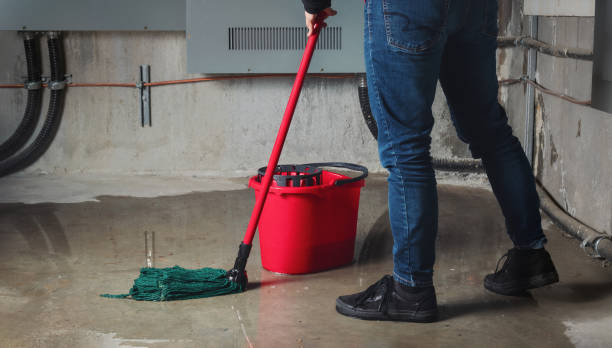 Best Carpet water damage restoration  in Byron, GA