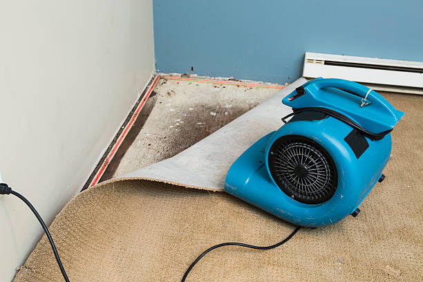 Best Residential water damage restoration  in Byron, GA